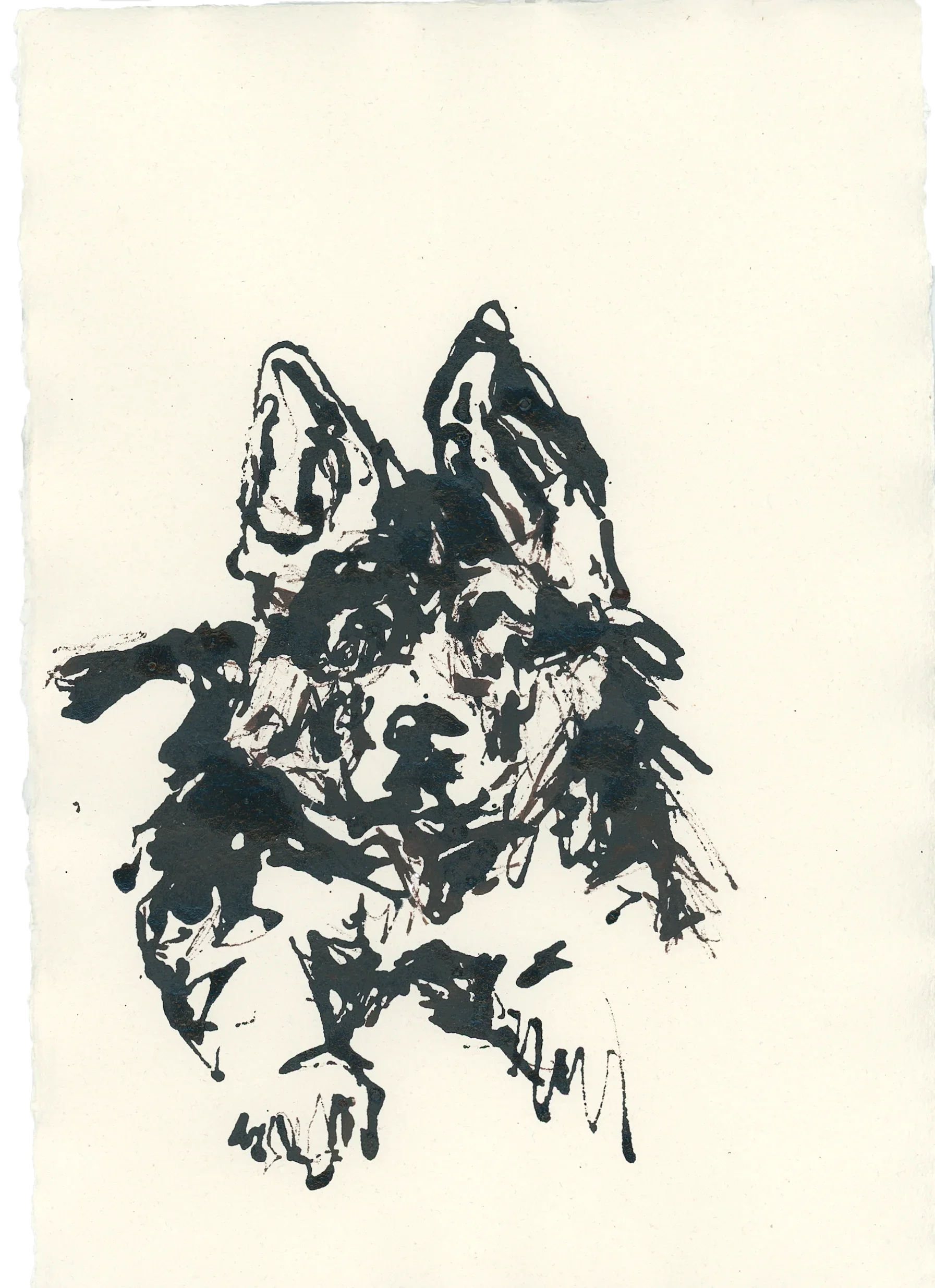 Acrylic Ink Dog no. 14 by Leah Boyd features a dog with large pointed ears and expressive eyes in a loose, sketchy style on cream watercolor paper. The dog faces forward with one paw raised. Includes certificate of authenticity.