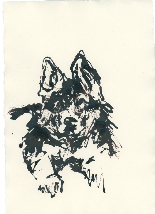 Acrylic Ink Dog no. 14 by Leah Boyd features a dog with large pointed ears and expressive eyes in a loose, sketchy style on cream watercolor paper. The dog faces forward with one paw raised. Includes certificate of authenticity.