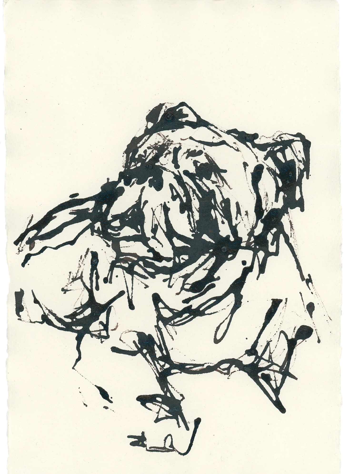 Acrylic Ink Dog no. 16 by Leah Boyd: Loose, abstract ink sketch of a bulldog lying down, featuring bold black acrylic ink lines on light watercolor paper. Captures the dog's wrinkled face and relaxed pose. Includes certificate of authenticity.