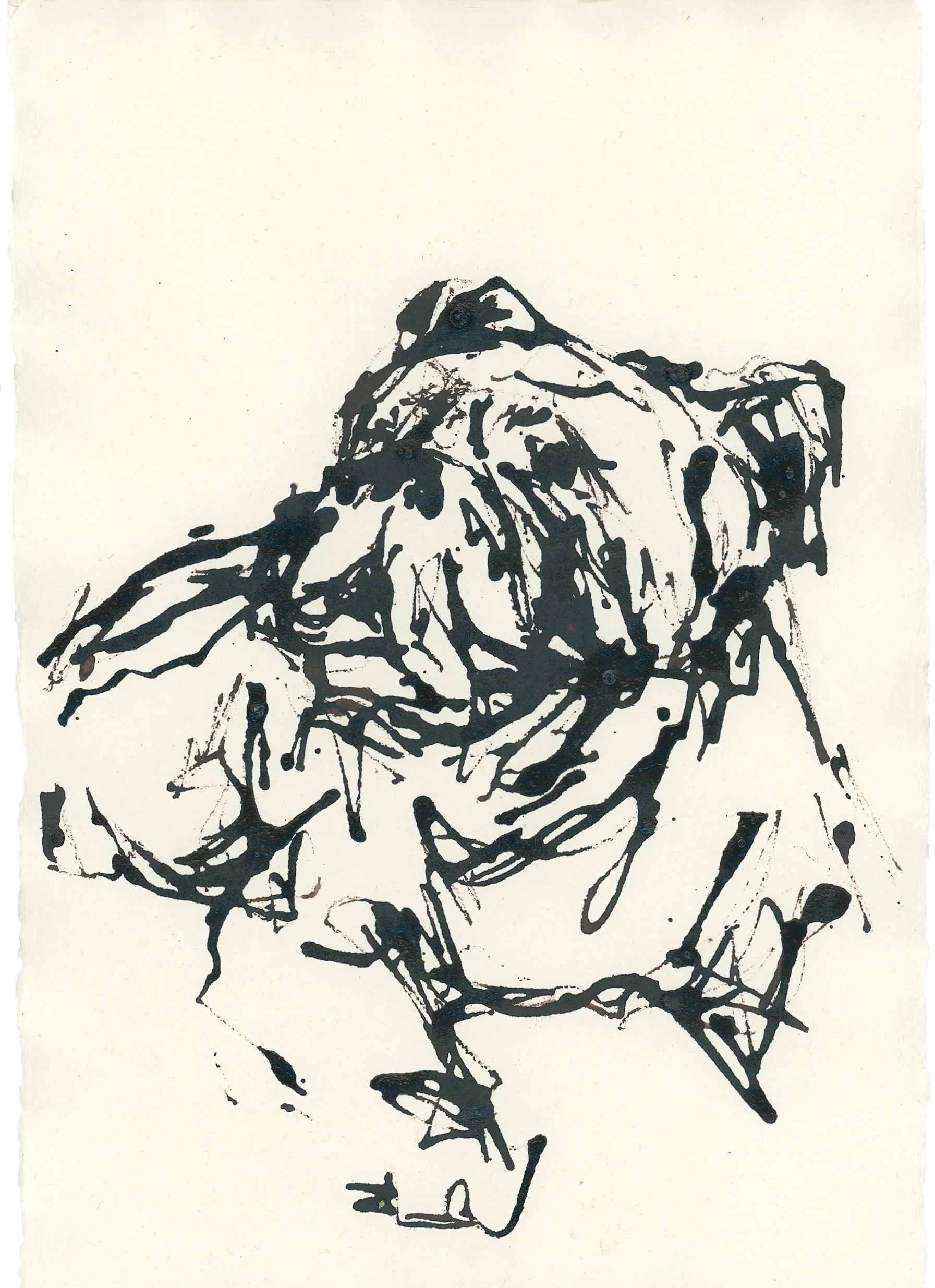 Acrylic Ink Dog no. 16 by Leah Boyd: Loose, abstract ink sketch of a bulldog lying down, featuring bold black acrylic ink lines on light watercolor paper. Captures the dog's wrinkled face and relaxed pose. Includes certificate of authenticity.