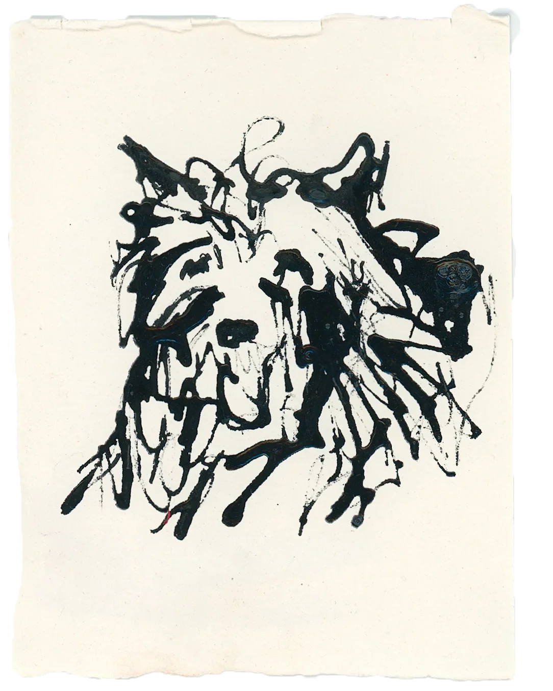 Acrylic Ink Dog no. 5 by Leah Boyd features expressive black ink lines on textured white paper, suggesting a shaggy dog's face. This artwork has rough edges and includes a certificate of authenticity.