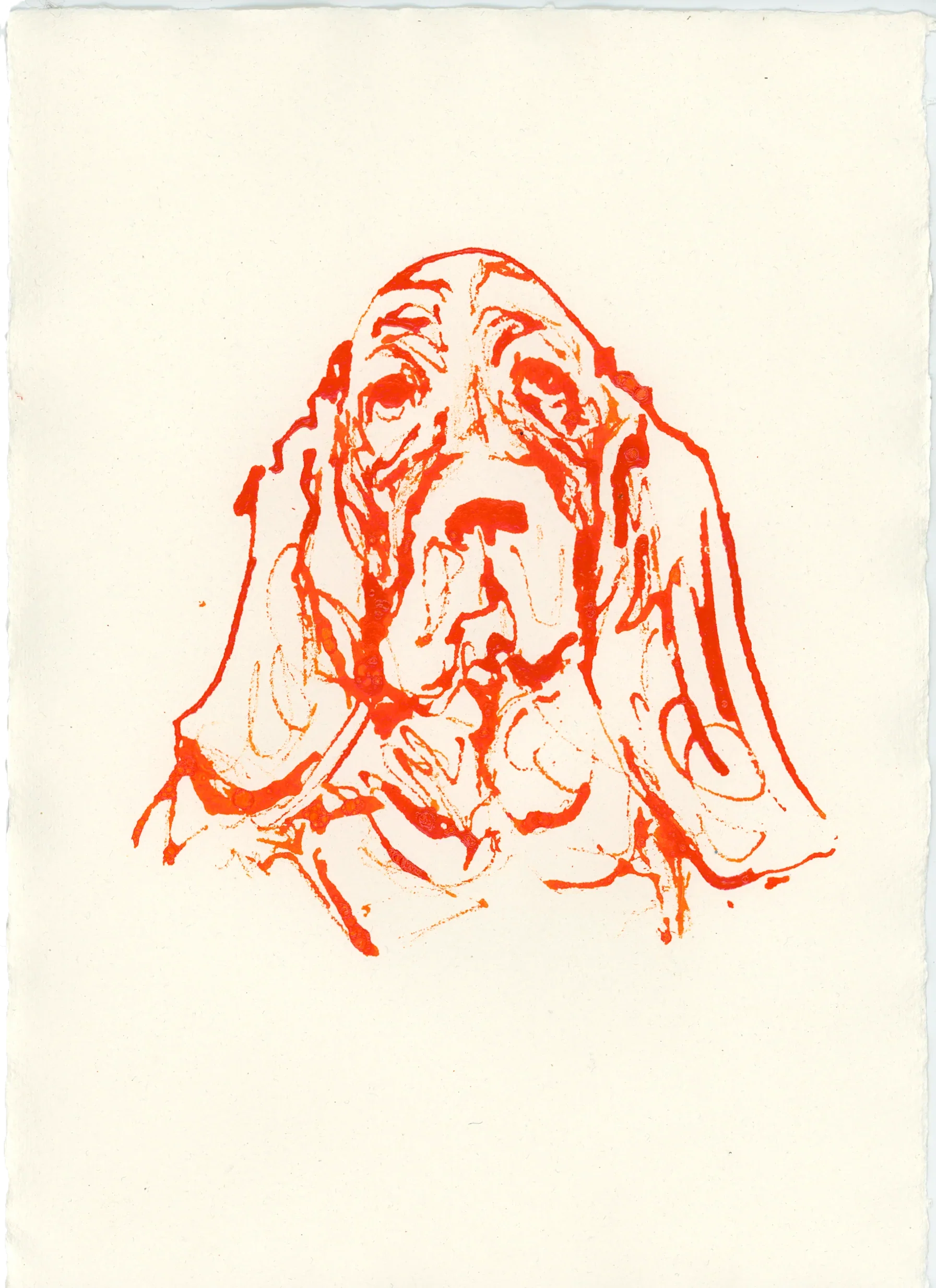 Acrylic Ink Dog no.21 by Leah Boyd: A loose red line sketch of a droopy-eared dog on off-white paper, featuring expressive minimalism that highlights the dog’s face and ears—ideal for custom dog art fans.