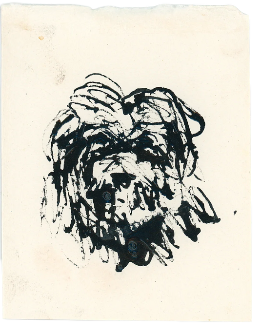 Acrylic Ink Dog no. 7 by Leah Boyd features an expressive ink sketch of a shaggy dog’s face in black acrylic ink on rough, off-white watercolor paper with uneven edges and a plain background.