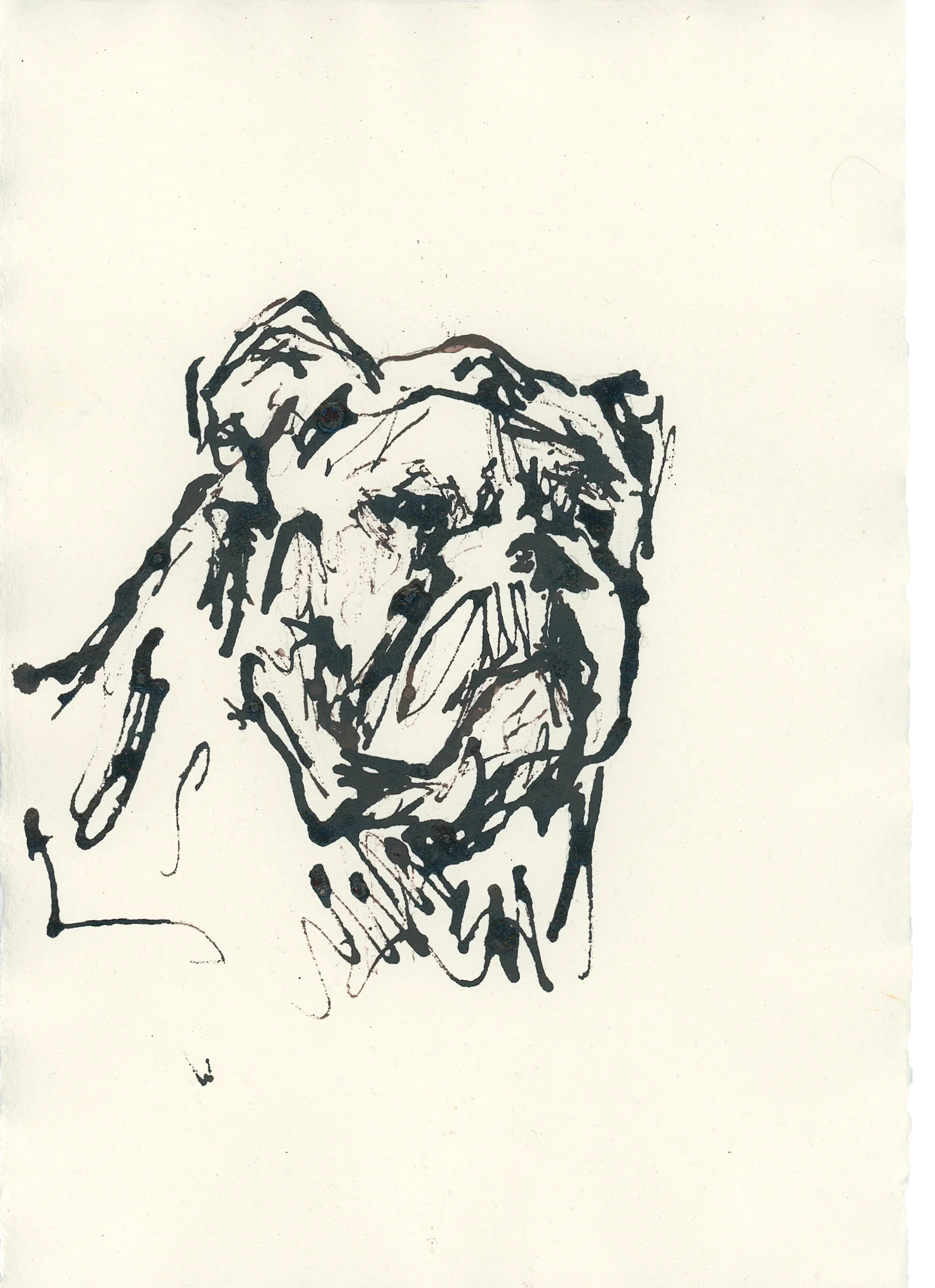 Acrylic Ink Dog no. 9 by Leah Boyd is a loose ink sketch of a bulldog’s face on off-white paper, featuring bold lines and expressive details. Perfect for custom pet art fans. Includes certificate of authenticity.